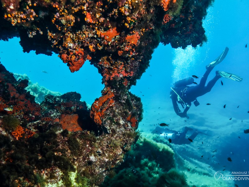 Diver at Cirkewwa Marine Park, Malta.