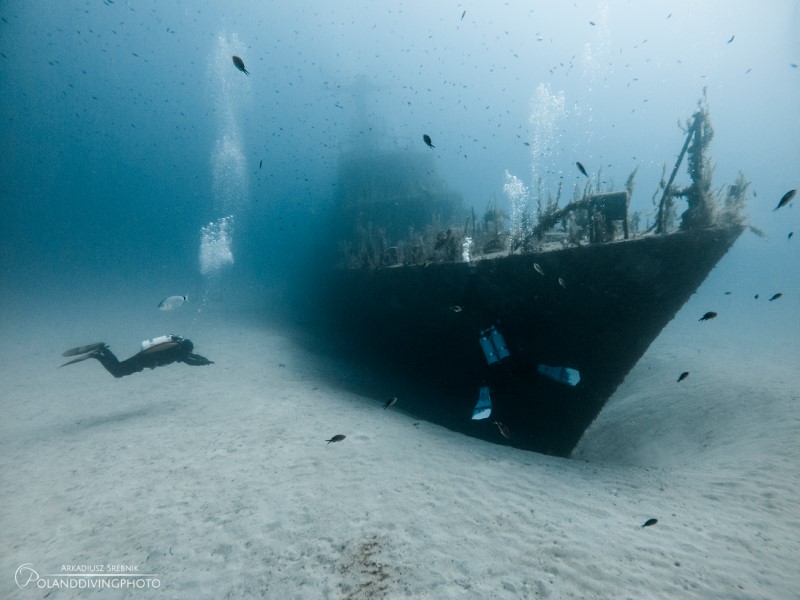 Diver at P29 shipwreck at Cirkewwa Marine Park, Malta.